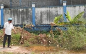 Lại phát hiện doanh nghiệp xả thải trái phép